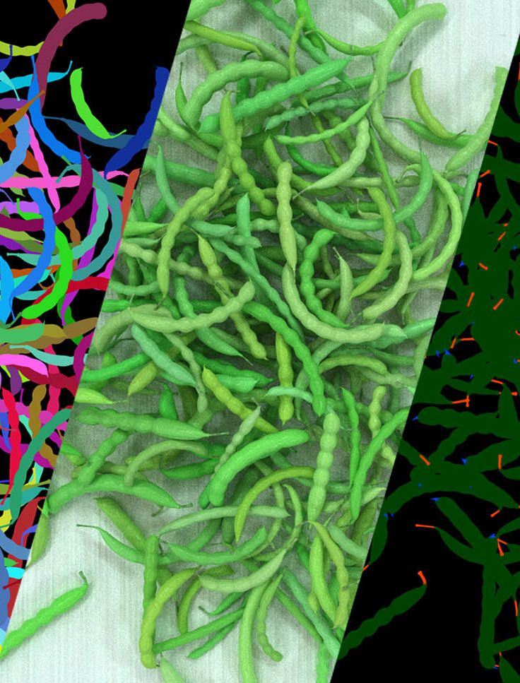 Banner-synthetic-data-food